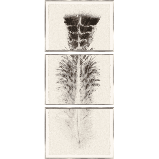 Taupe Plume Triptych