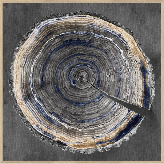 Slice Of Indigo I (C682)-S