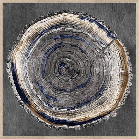 Slice Of Indigo II (C682)-S