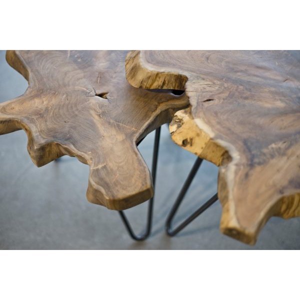 Leo Nesting Tables (Set Of 2)