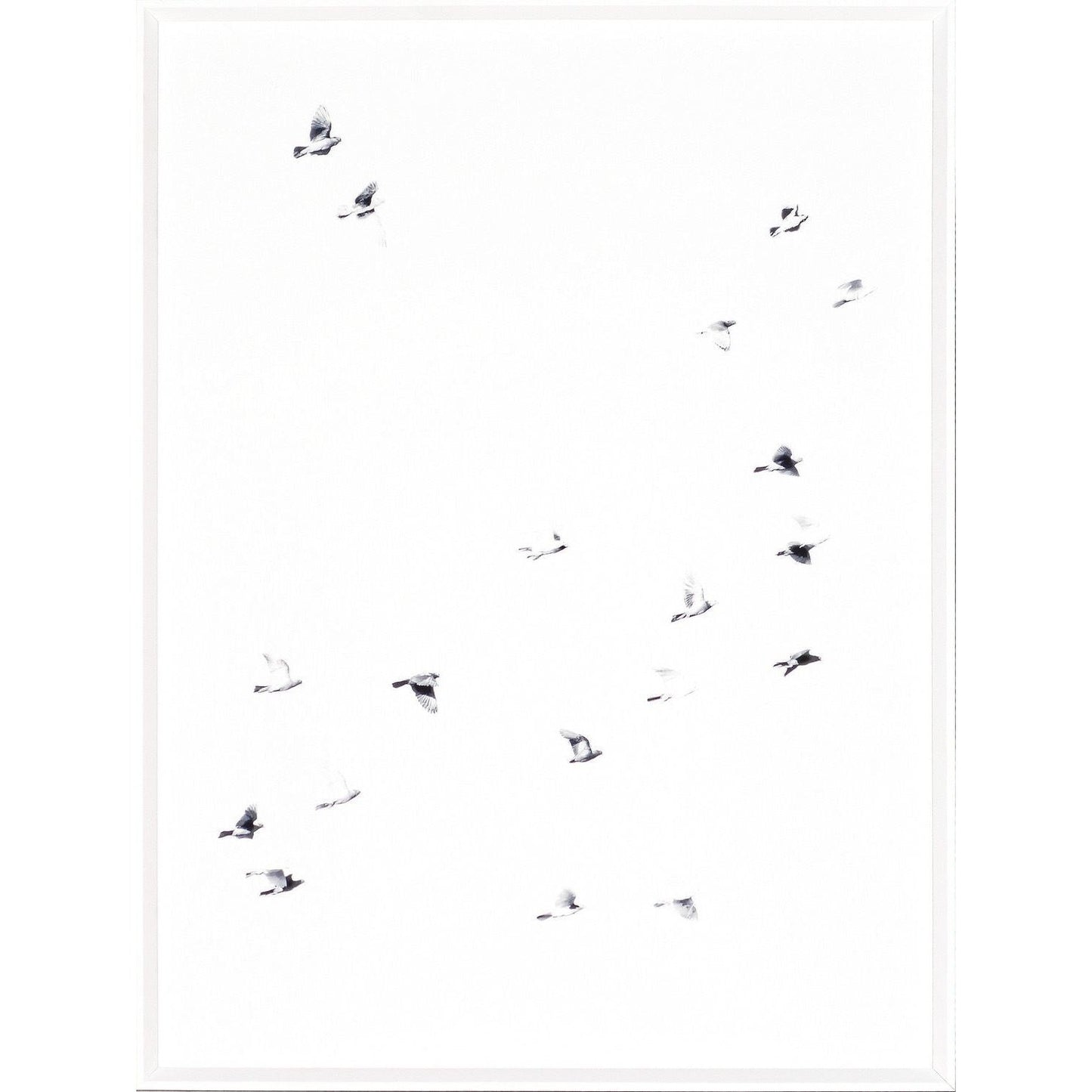 Flight Path I