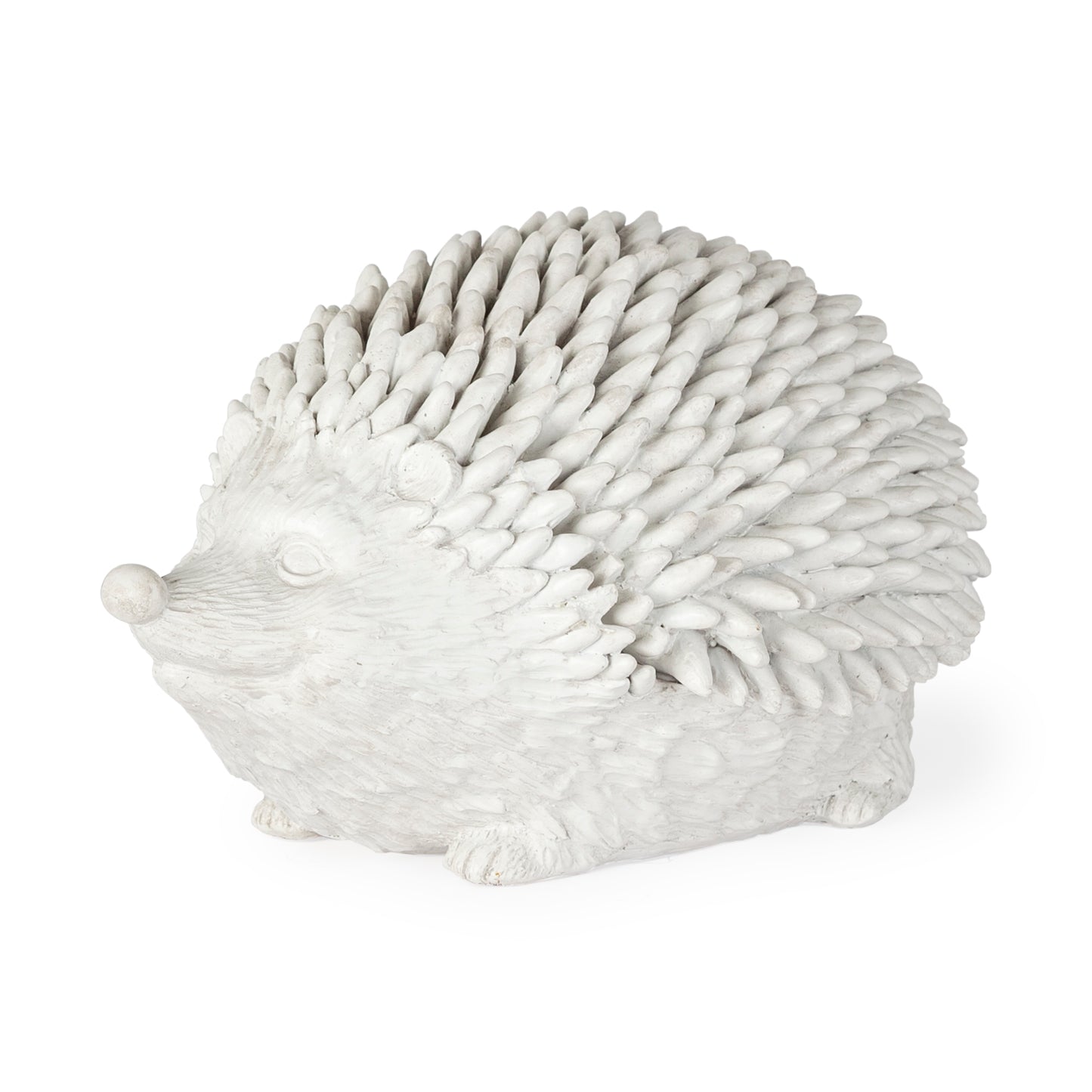 Cameron Hedgehog