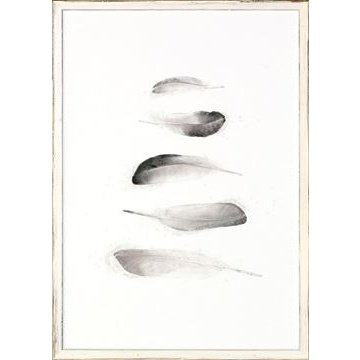 Five Feathers