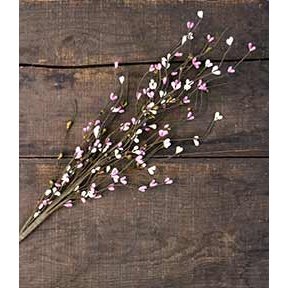 12" Berry Pick - Pink/Cream