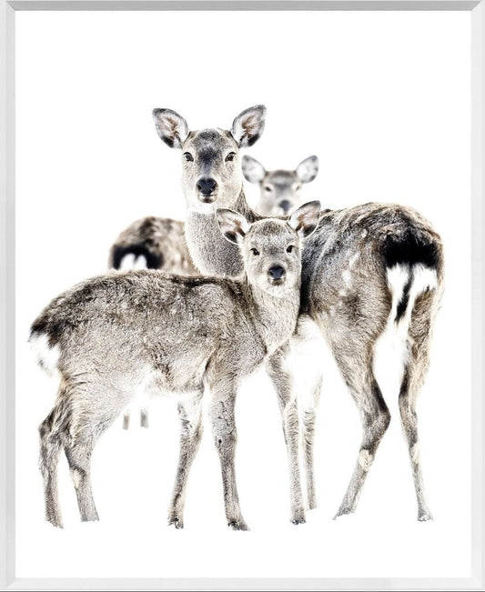 Maternal Vigil- Mini - 17" x 21"