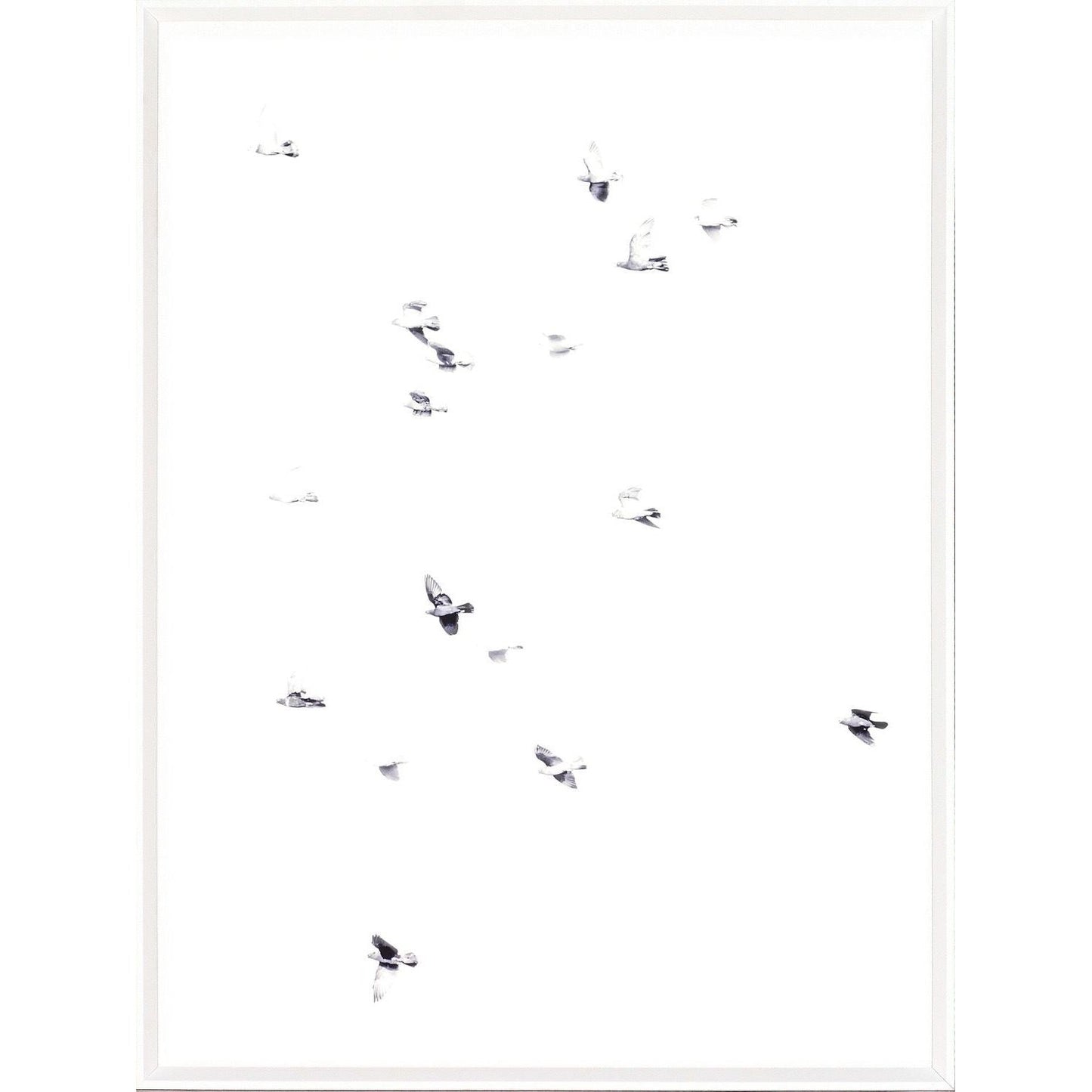 Flight Path II