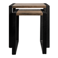 Chub Lake Nesting Tables