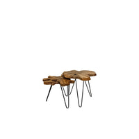 Leo Nesting Tables (Set Of 2)