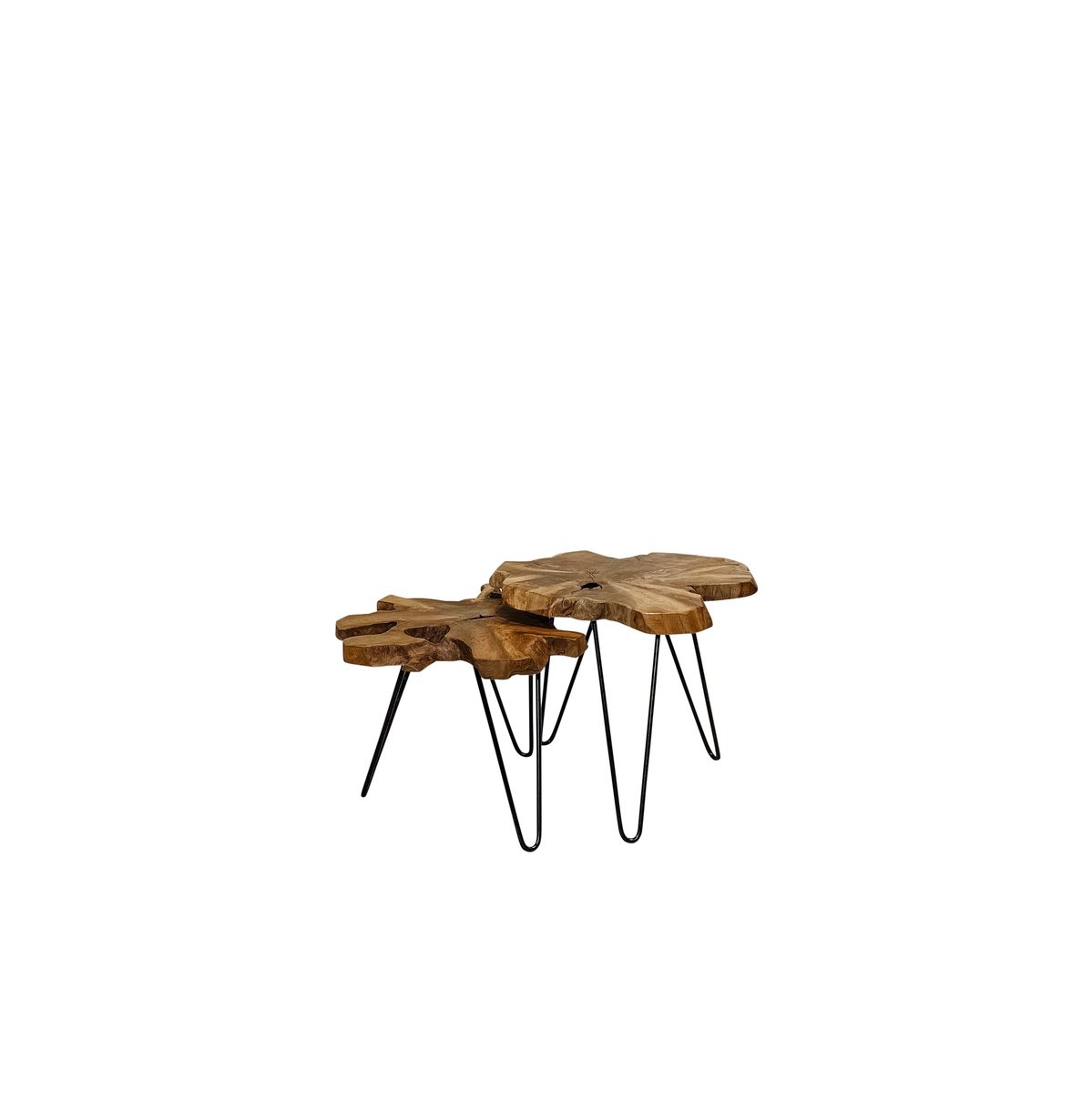 Leo Nesting Tables (Set Of 2)