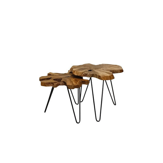 Leo Nesting Tables (Set Of 2)