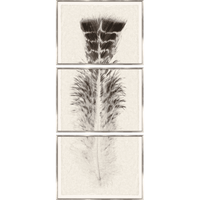 Taupe Plume Triptych