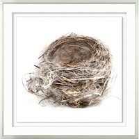 Simply Nest II