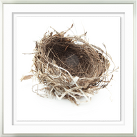 Simply Nest III
