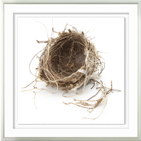 Simply Nest IV