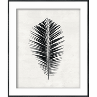 Carbon Species IV