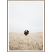 Great Plains Denizen Large