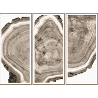 Live Edge Triptych