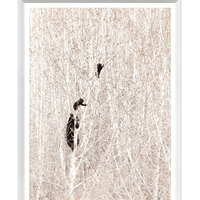 Bears in a Birch Forest Mini