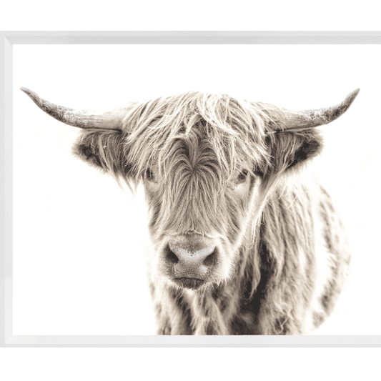 Highland Cow Mini