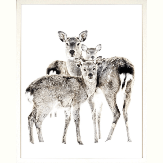 Maternal Vigil- Mini -  17" x 21" White
