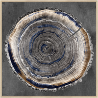 Slice Of Indigo II (C682)-S