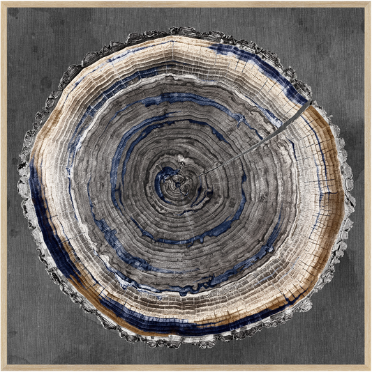 Slice Of Indigo II (C682)-S