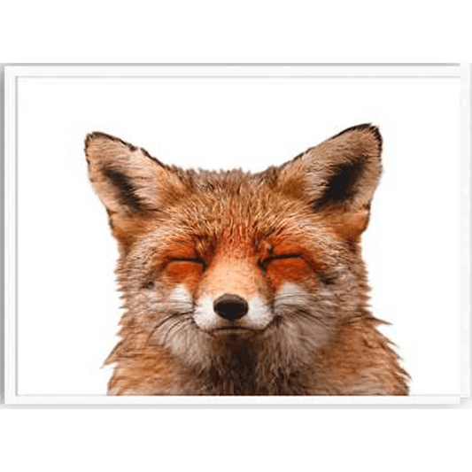 Isolated Happy Fox - Large