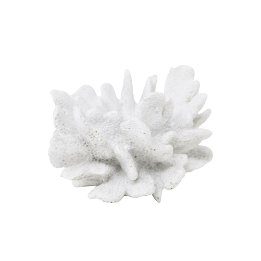 Candle Holder Coral