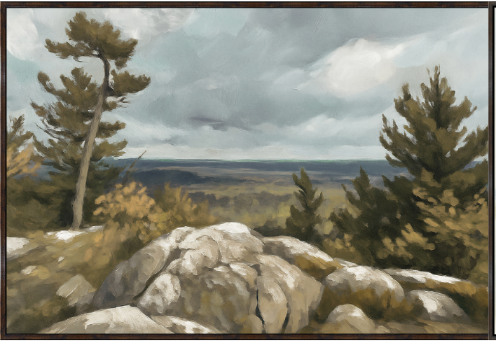 The Outlook