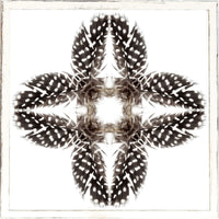 Feather Mandala I 17