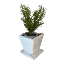 NL Flower Box
