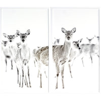 Surveillance Diptych