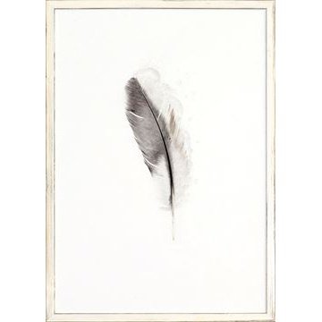 One Feather