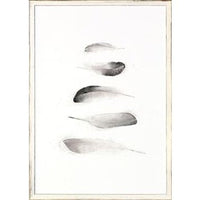 Five Feathers
