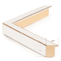 Feather Mandala I 17