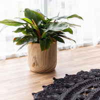 Nova Desert Sm Planter