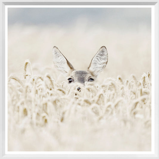 Peekaboo Deer Mini