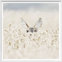 Peekaboo Deer Mini