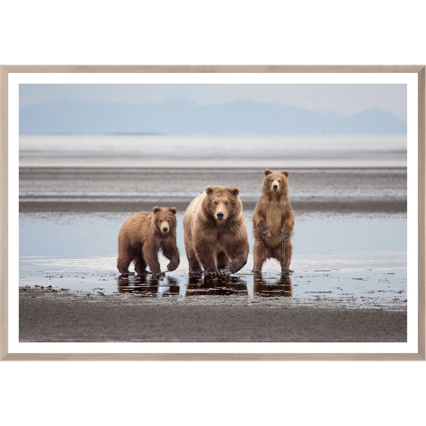 Natural - Bear Family Large