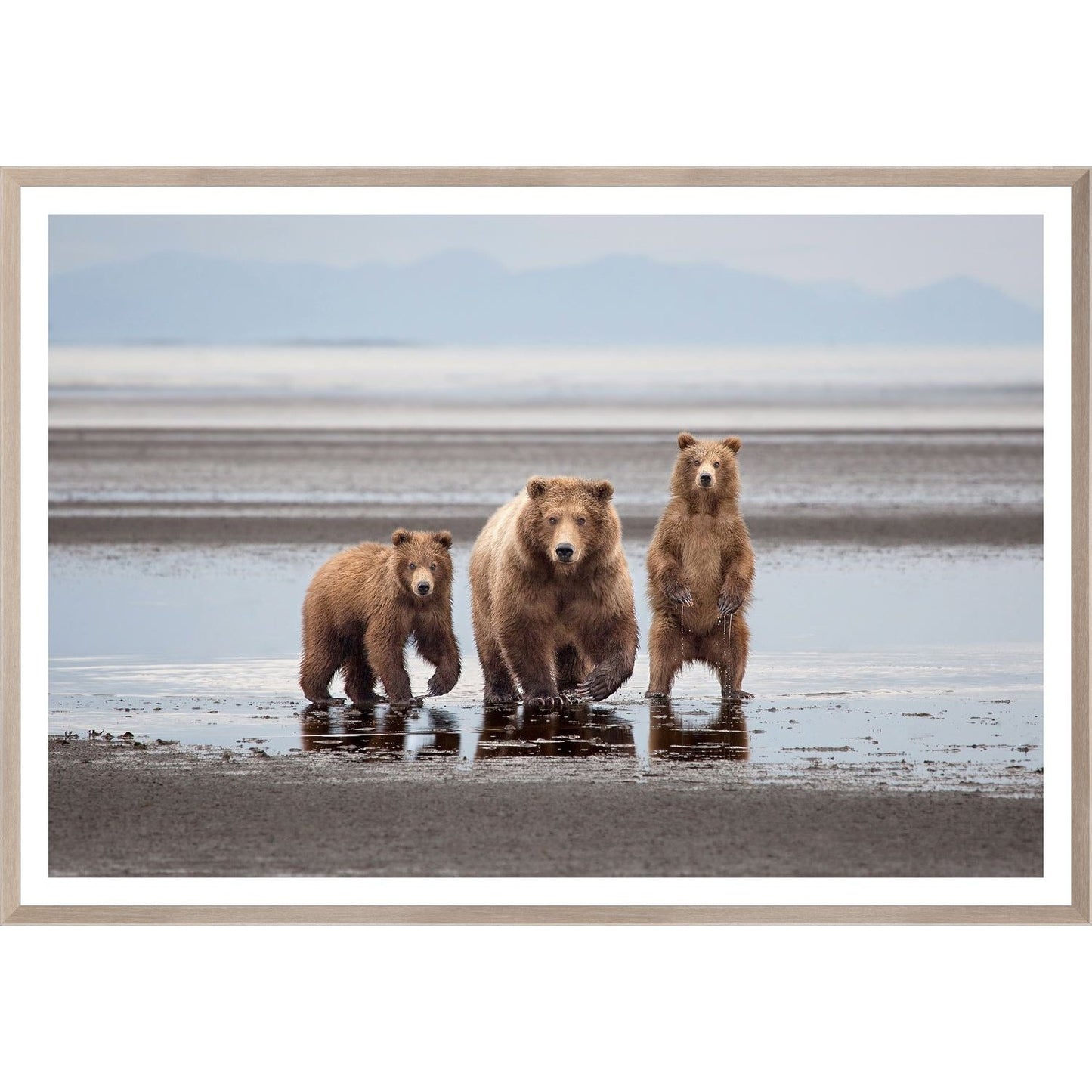Natural - Bear Family Small