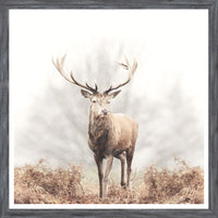 Red Deer Stag Mini- Grey
