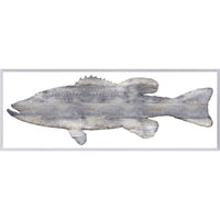 Driftwood Bass Small