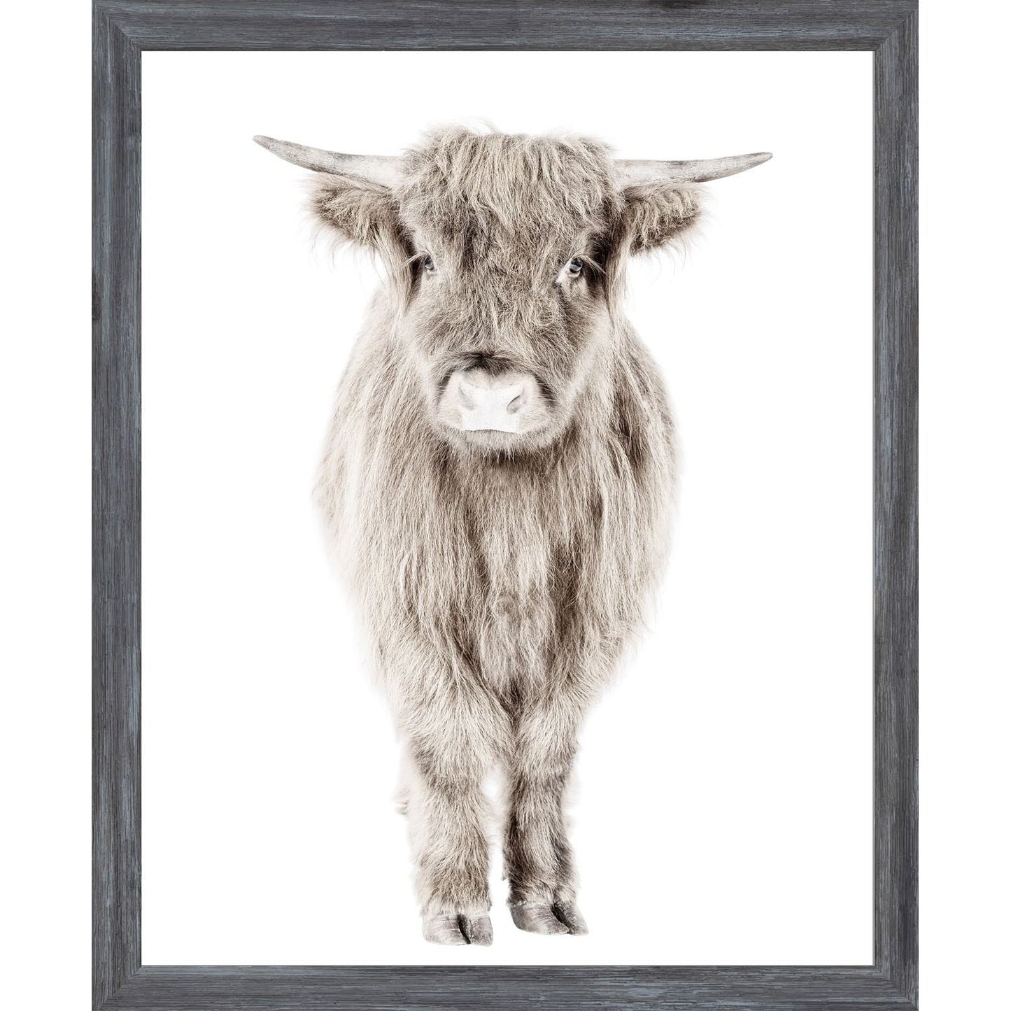 Highland Calf Mini Grey Frame