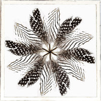 Feather Mandala II 17